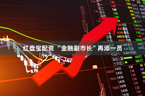 红盘宝配资 “金融副市长”再添一员
